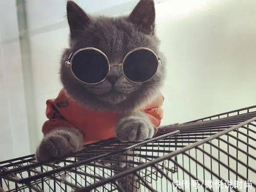 黑眼圈很严重怎么办？怎么拯救特别严重的黑眼圈？