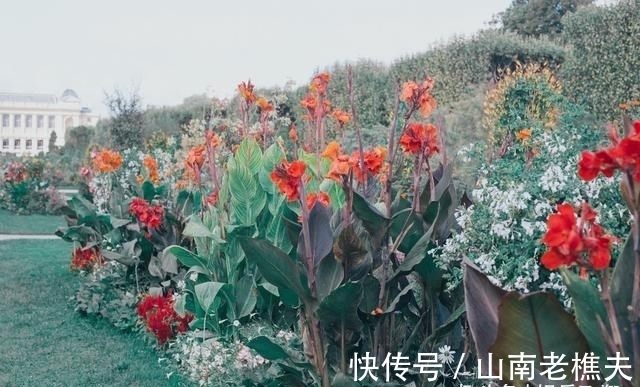 爱人|桃花绽放，思念一片，旧爱情缘，携手旧爱，牵手余生