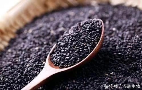 头发油的快需要经常洗吗?会损伤发质吗?