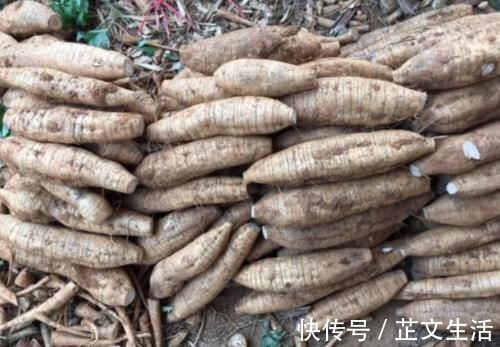 葛根|10个女性9个有妇科病，每周吃3次，活血化瘀，子宫更健康！