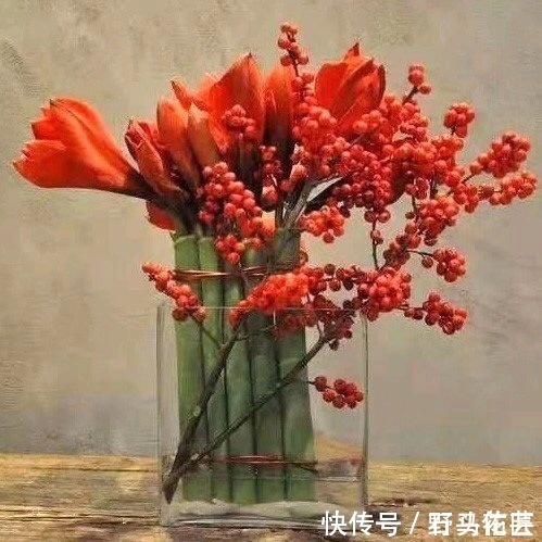 过年之前,给家里养“4种花”,好养好活、寓意红红火火