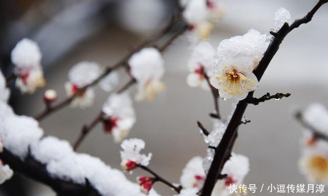 好汉|伟人毛泽东这三首诗词,赞美了他心中的英雄,来看看都是谁?