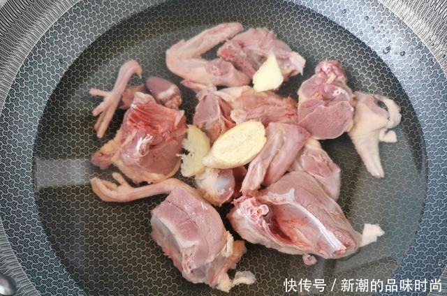 养生锅|一鸽胜九鸡,天冷多喝鸽子汤,这样炖汤鲜美味无腥味,营养滋补