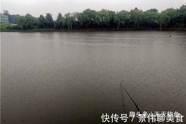 自然水域野钓大鱼，用了这些招数，效果出奇的好，大鱼连竿上