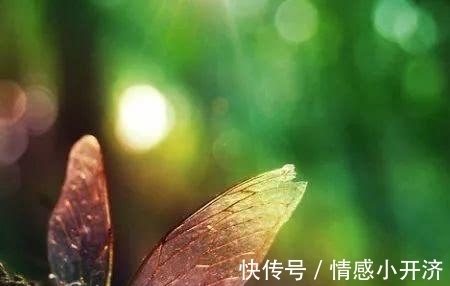 长江公司|交朋友，秉持这个原则，必能赢得贵人相助，不想成功都难