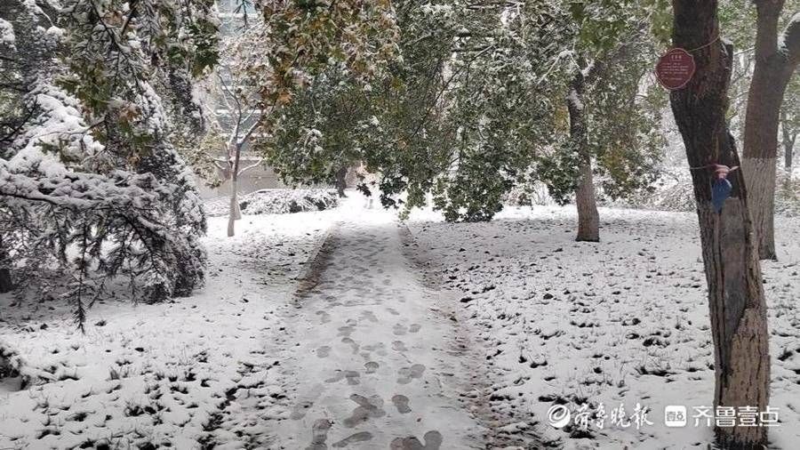 大学生|大雪下的驻济学生：校园里肆无忌惮滚雪球，那是我们的青春啊