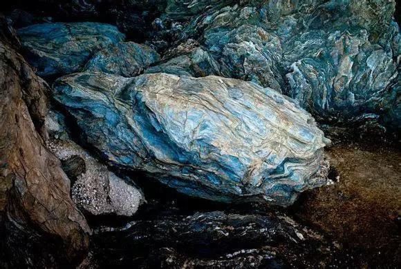 海鲜|渔民整理的海鲜大全,以后再也不怕不认识海鲜了