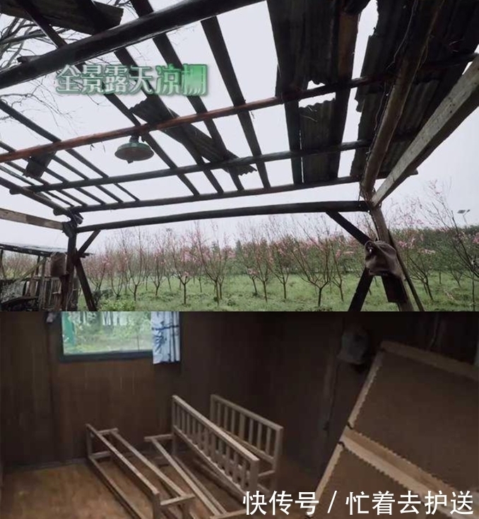 《向往的生活5》難度加大,張藝興加入,與黃磊師徒聯手智斗導演