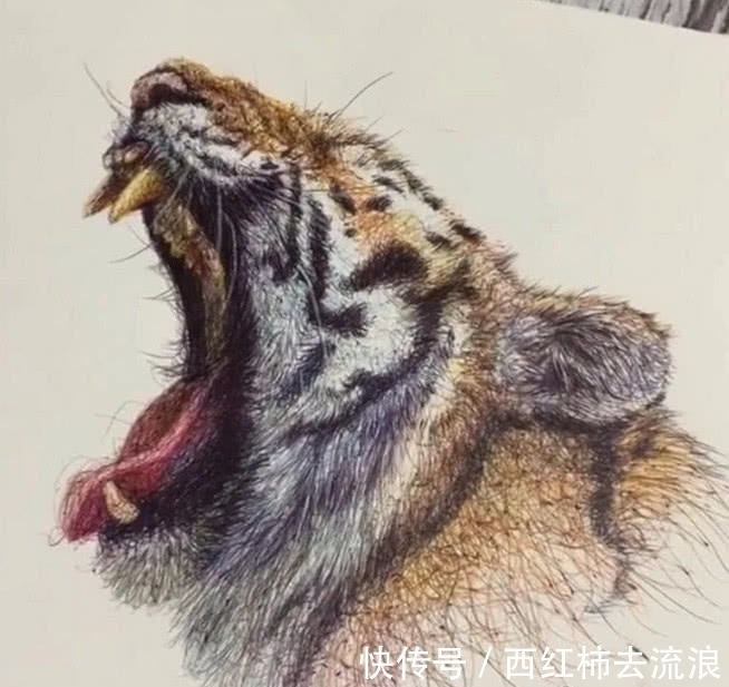 圆珠笔$美术生用“圆珠笔”作画,本以为是个青铜,不料竟是个“王者”!