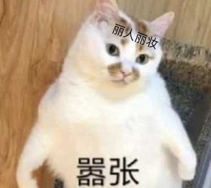 这家|淘宝旗舰店的“隐秘生意”，这家公司凭什么年入40亿？