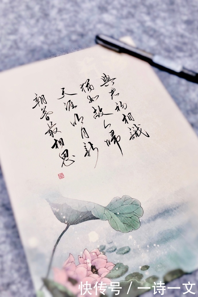 羊群|既然人类微渺得如同一只蜉蝣,那么人生须臾,不如绽放