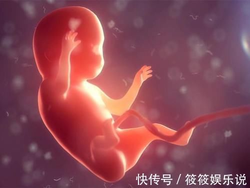 妈妈们|怀孕后,胎儿在默默地用四种方式守护你,别以为只有你在“战斗”