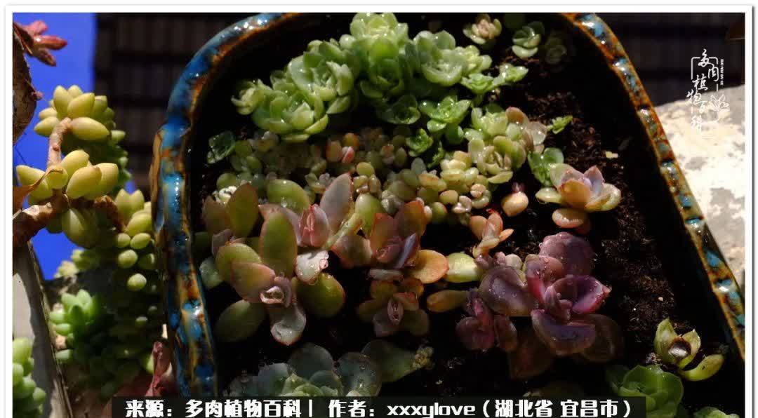 时光匆匆,一闪而逝,这世间万物的美,都值得被记录!