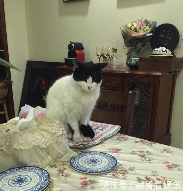 黄菡|参观黄菡老师现实中的家,家具全是复古款式,连碗碟也要用青花瓷