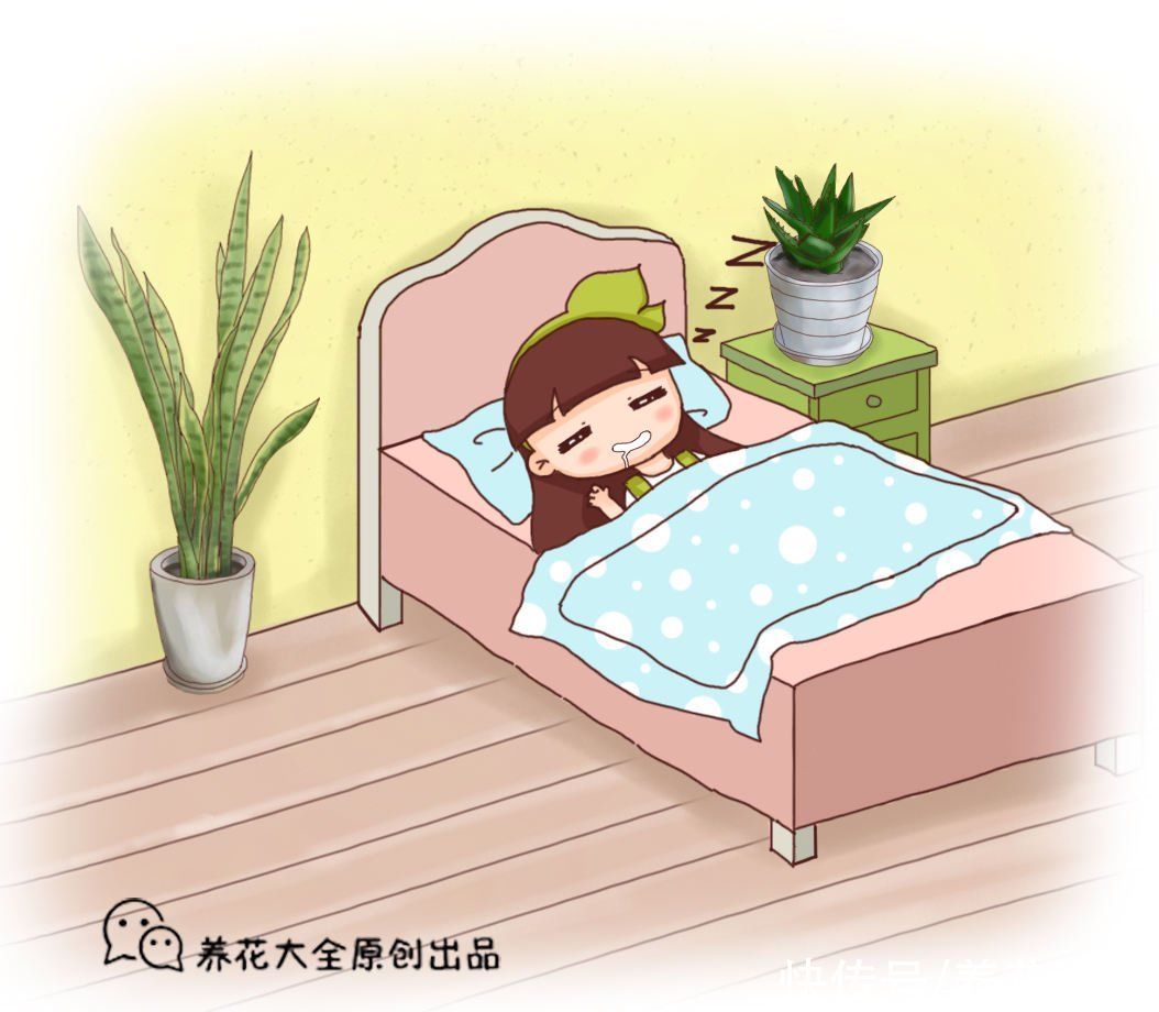 夏天|失眠多梦真头疼，养这3种花，带你安心入眠没烦恼