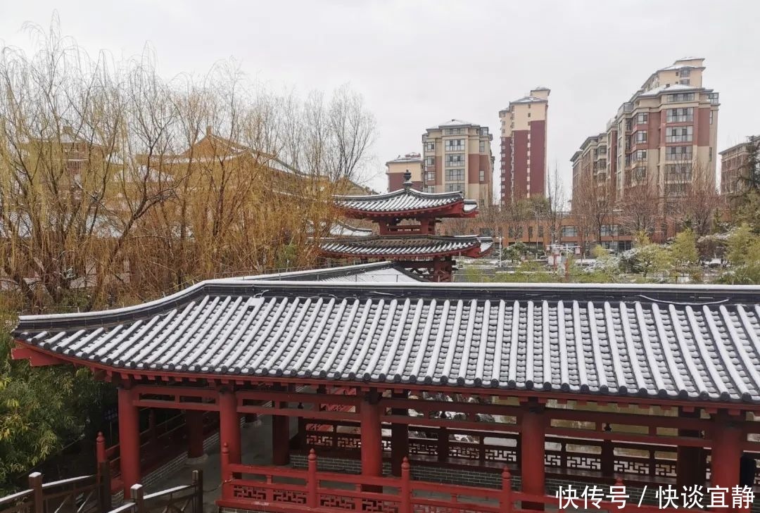 中年|难得一见的春日雪景,美到心醉!