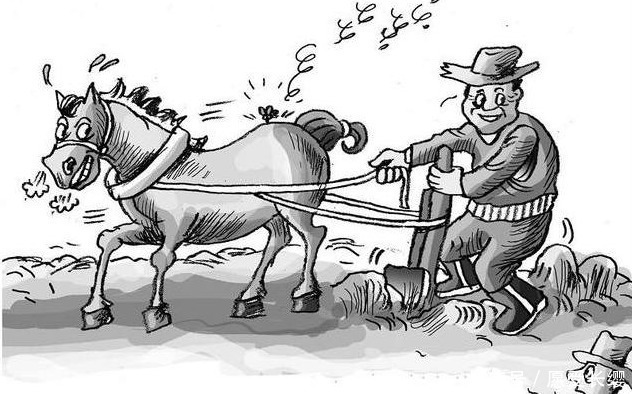 孩子|孩子“懒惰不上进”怎么办,试试“马蝇效应”,孩子会越来越自律