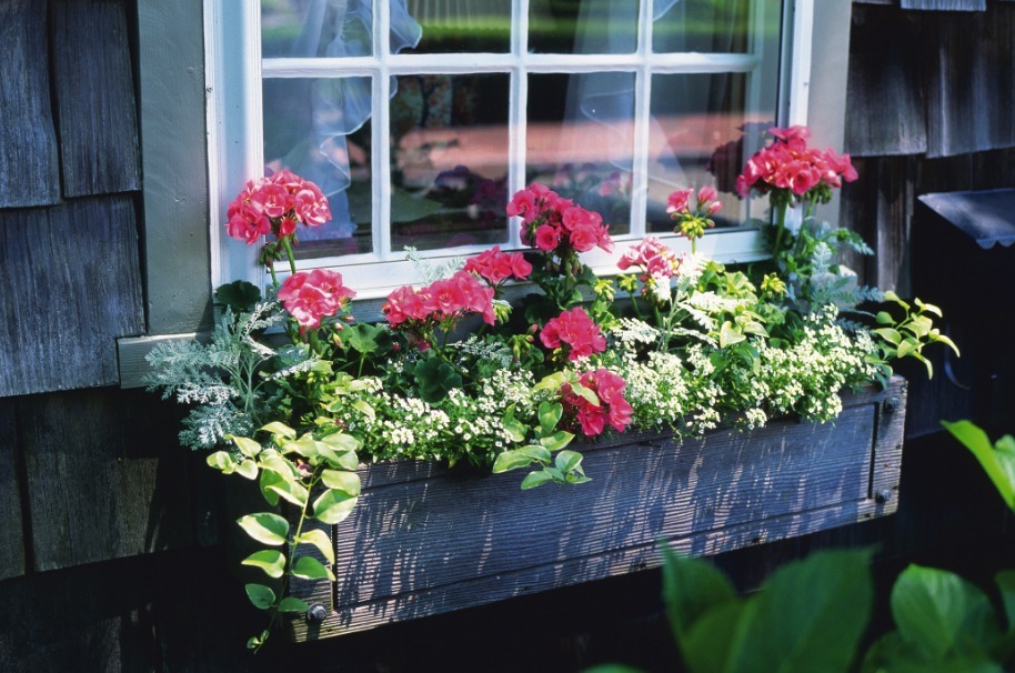 换盆加点坚果壳,提前这么弄,养花土变排水性好,肥力十足