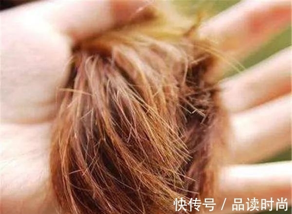 护理|新年从“头”开始,受损发质请护理一下好吗?