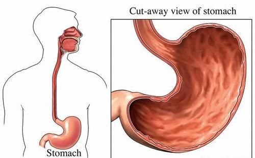 腹泻|男子腹痛腹泻，迅速休克病因未明，直至医生看到：患者胸口上红点
