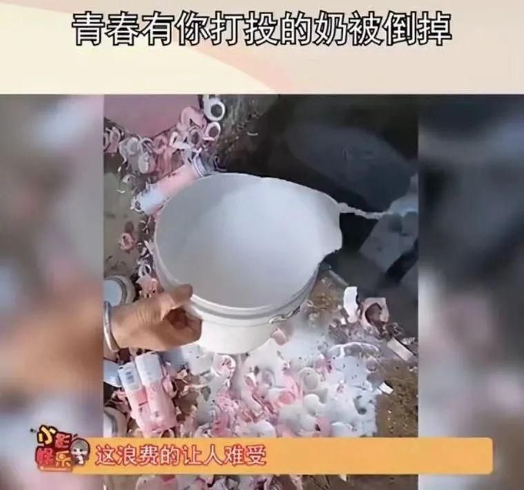 知名综艺被紧急叫停