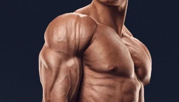 肩部|别再怪自己肩不够宽，是因为你一直忽视这6个王牌动作