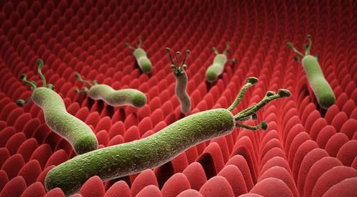 幽门螺旋菌来袭 1种果子泡着喝 强行冲走幽门 胃全好了 快资讯