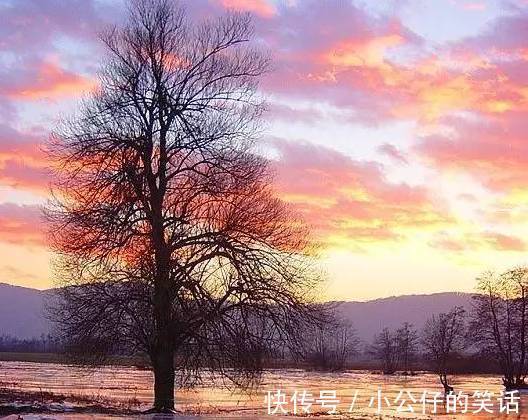 嵌字诗|今天9月9日,如此才华横溢的诗,你见过吗?绝!太绝了!