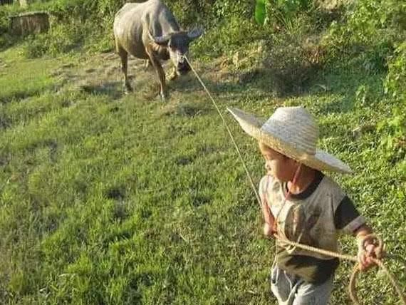 门上|放牛娃山中发现古墓，专家赶到后发现墓门上八个字，瞬间就怒了