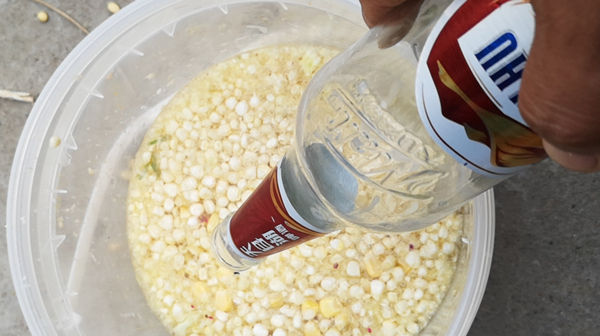 几款自制野钓绝杀窝料,夏季使用效果倍增,钓大鱼没难度