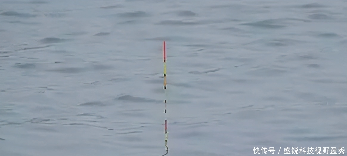 无钩调漂、半水调漂,究竟哪一种立漂调漂方法,才更好用呢