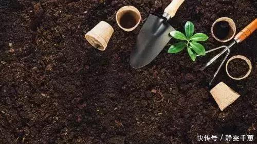 一招教你把旧土变新土，再也不用花钱买营养土种花了