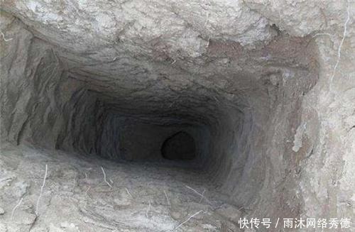 小说里的盗墓情节大呼过瘾, 现实中盗墓危害性有多大,你知道吗