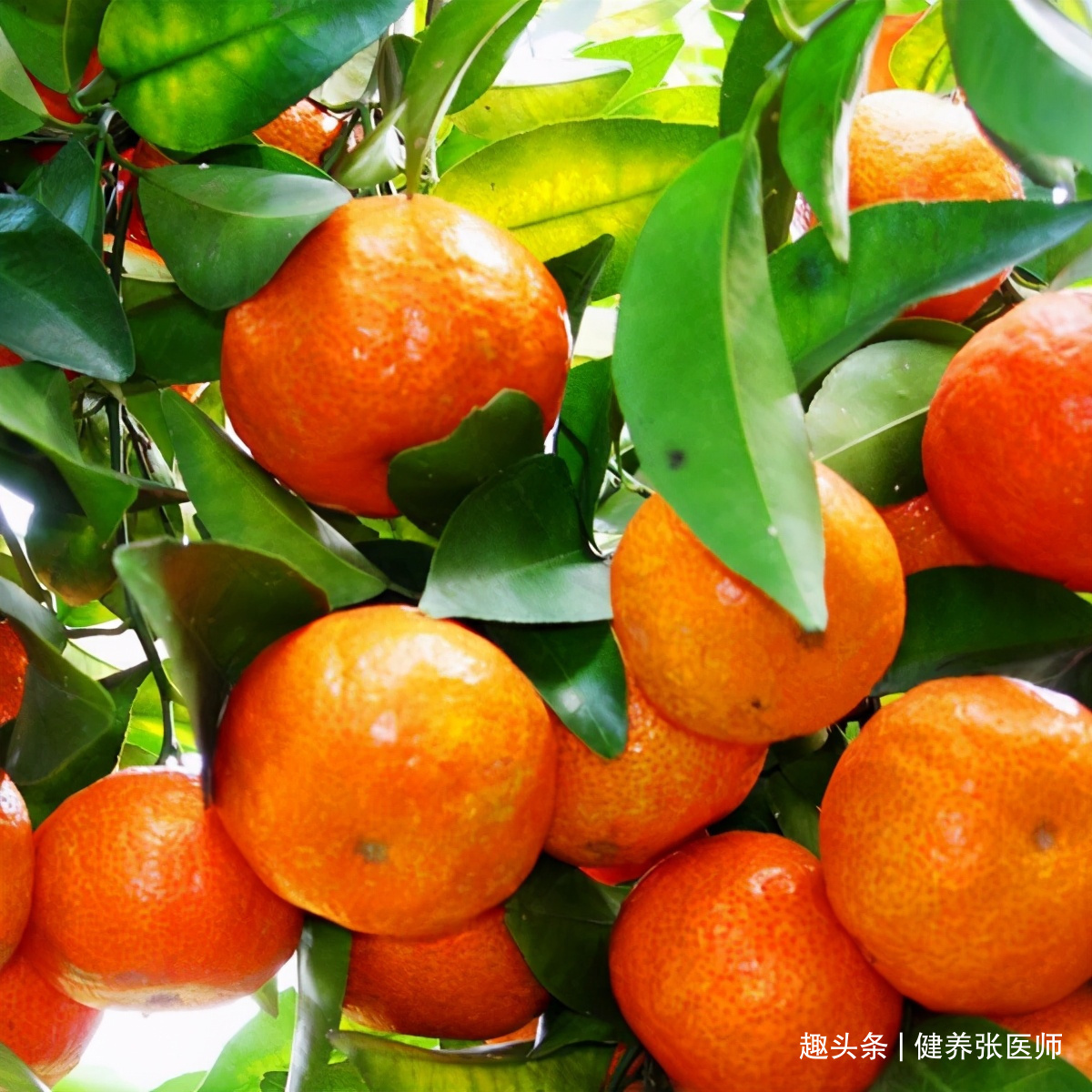 食物|女性想要身体好,推荐3种食物,排毒护肝,调理肠胃,补充营养