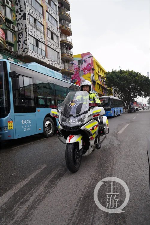 警犬|震撼！警队里那些“威震江湖”的十八般武艺