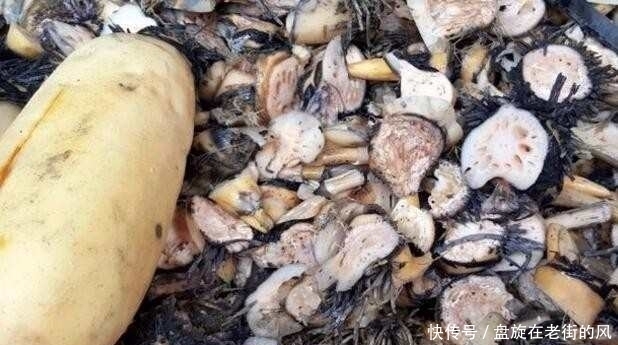 收集|老汉每天守在菜市场收集这种没人要的东西,竟能治好这个小毛病