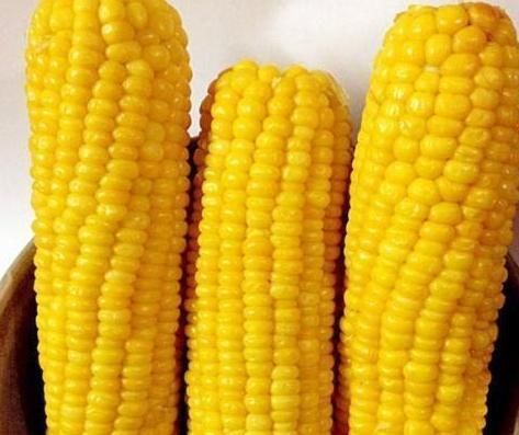 每天吃1节玉米,坚持2周,3个好处收入囊中,后悔没早点吃!