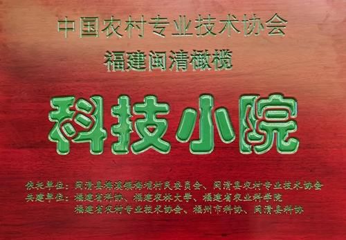 给力！闽清橄榄又新增一荣誉