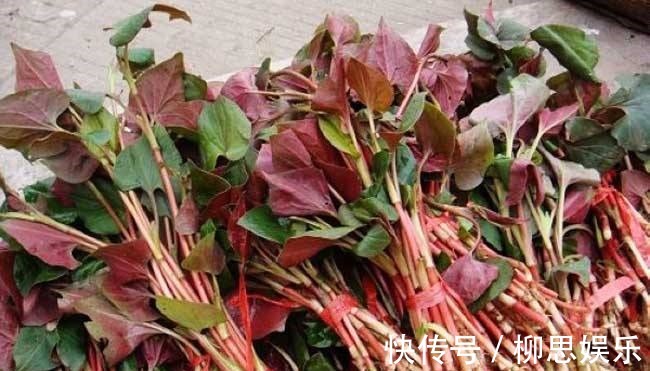 滋补身体|对身体很好的3种食物,要坚持每天吃一些,排毒养颜、滋补身体