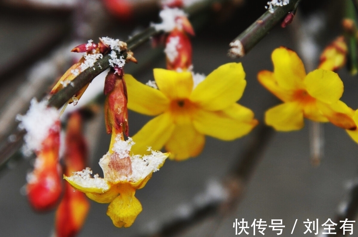 第一章@《道德经》第六章:从“众妙之门”到“玄牝之门”,还没听懂?