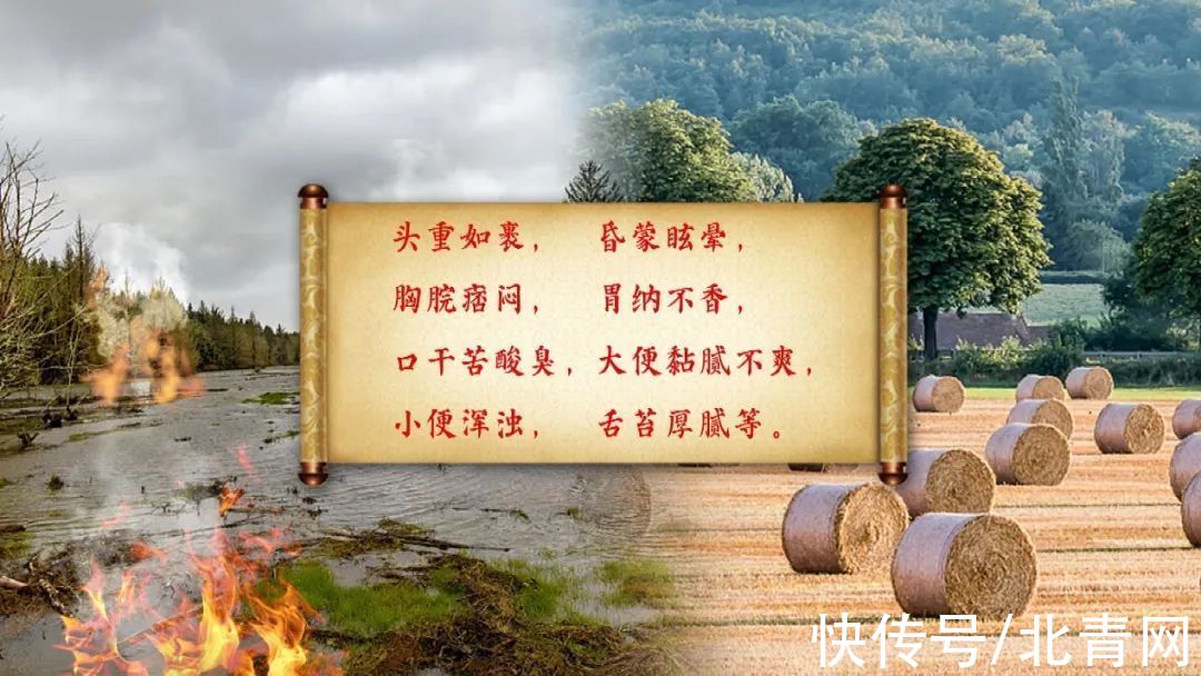 茉莉花|身上有“老年味”，可能是疾病信号！四个祛味法宝，除味助长寿
