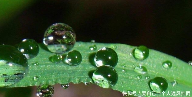 充满|李煜最有韵味的一首词,整首词处处充满忧愁,可是又没有一个愁字