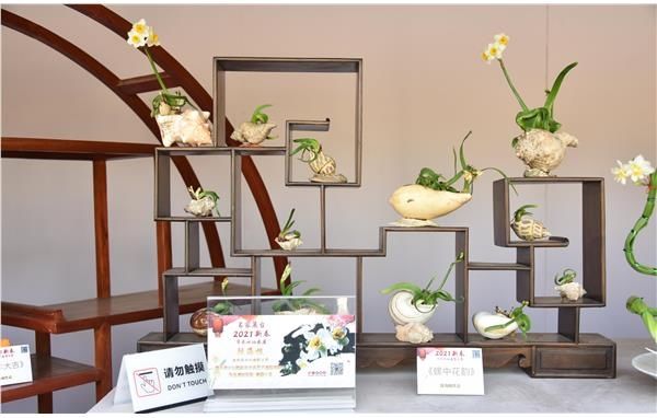 “婉约派”大师作品亮相2021水仙花展