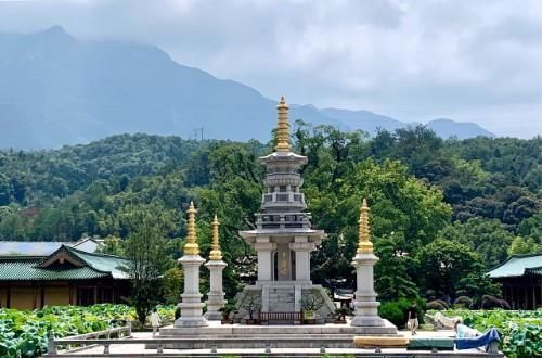 悠久历史|中国最“纯净”的寺庙，门票斋饭全部免费，唯独一种人不能进