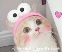 探险日记2|熊出没:嘟嘟多年后终于长大,又瘦又美她,却忘了曾经的初心