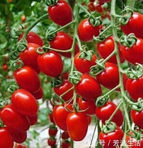 高血压病|老年人的“健康零食排行榜”,糖尿病和高血压病人,都可以吃!