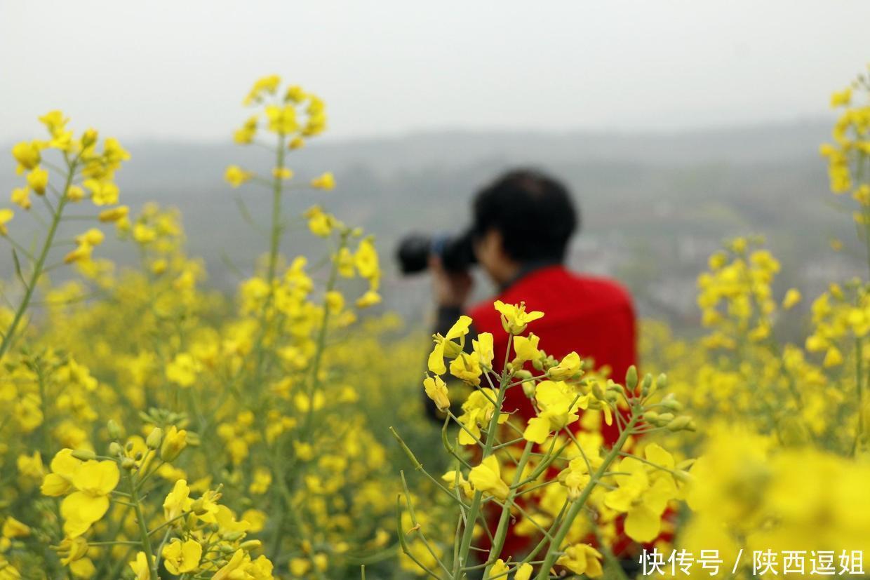 在西安东南有一个被称为“关中普罗旺斯”的小村庄，城里人都爱往这里跑