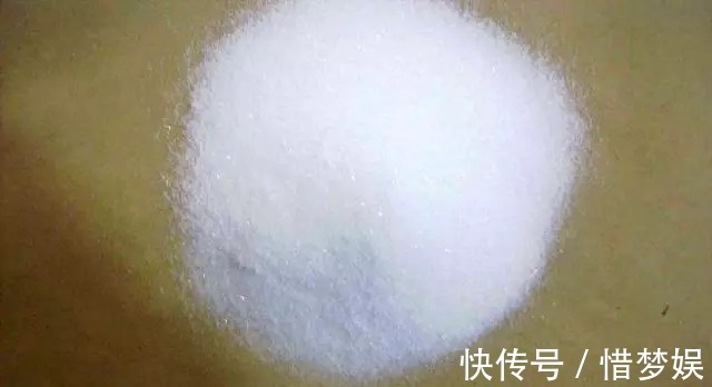 浇灌|园艺师教你,给“仙人球”把水浇对了,蹭蹭冒小球,开花100朵