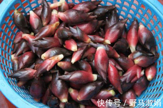 雀斑|此菜比阿胶还养人,女性可常吃,调理月经,去雀斑、淡皱纹