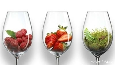 白葡萄酒|你们知道白葡萄酒是怎样来酿造的呢?